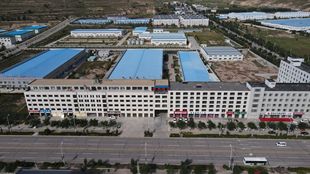 內蒙原果沙棘蜜漿 工廠直供30ml袋裝批發，保健食品新風尚